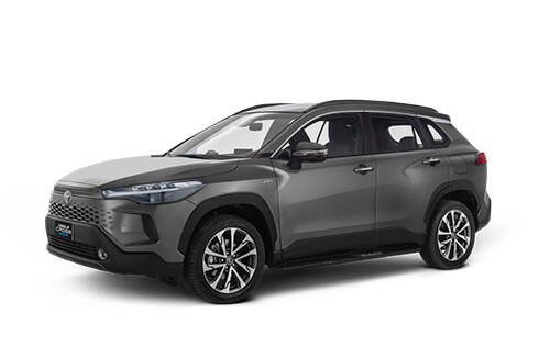 product view