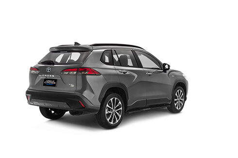 product view