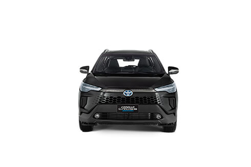 product view