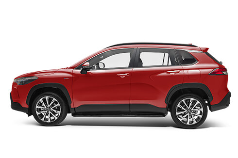product view